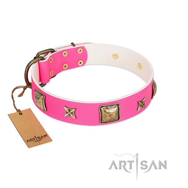 Full grain leather dog collar of top rate material with extraordinary decorations