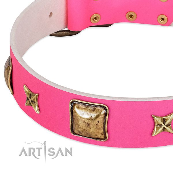 Natural leather dog collar with extraordinary adornments