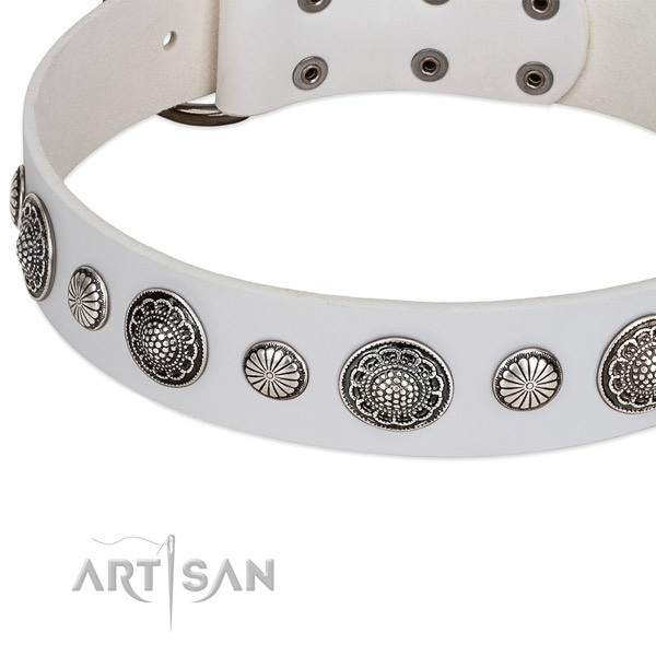 Full grain leather collar with durable buckle for your stylish dog