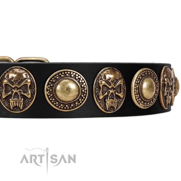 Genuine leather dog collar with embellishments for walking