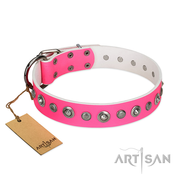 Top notch natural leather dog collar with top notch embellishments