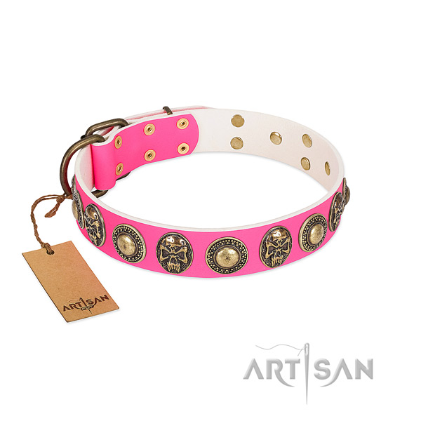 Easy to adjust genuine leather dog collar for walking your dog