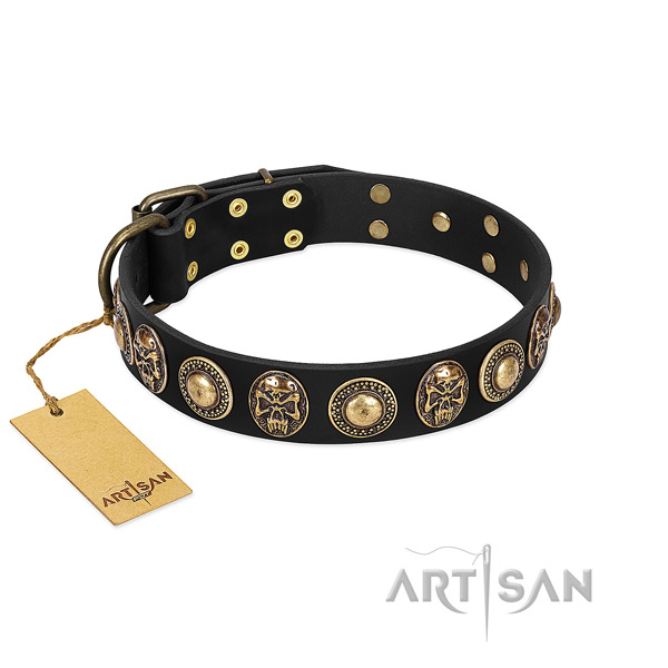 Easy adjustable leather dog collar for walking your dog