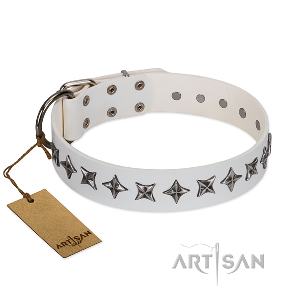 Daily walking dog collar of durable leather with embellishments