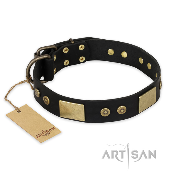 Perfect fit leather dog collar for everyday use