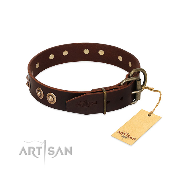 Durable embellishments on genuine leather dog collar for your pet