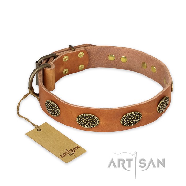 Top quality full grain leather dog collar with durable fittings