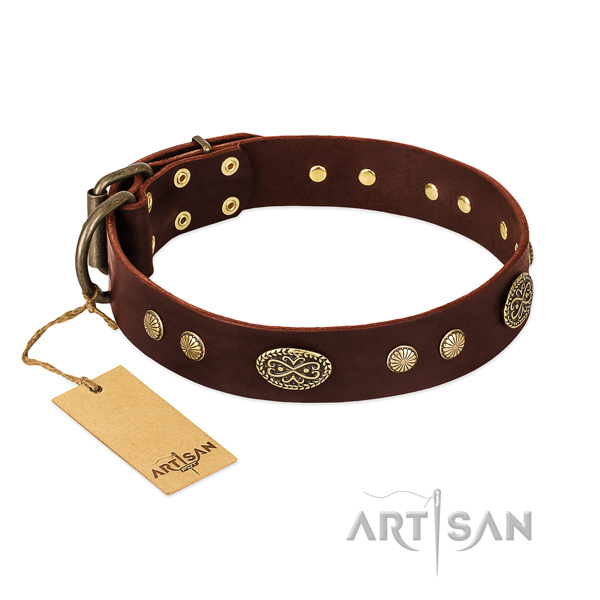 Corrosion resistant studs on Genuine leather dog collar for your dog