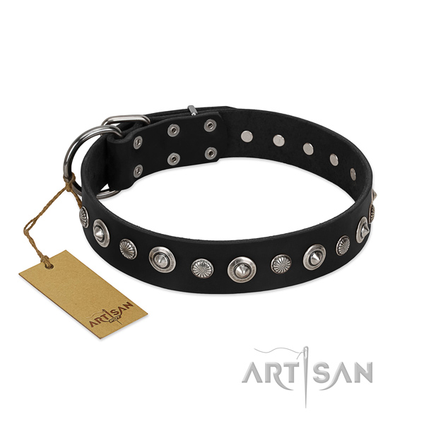Reliable full grain genuine leather dog collar with inimitable embellishments
