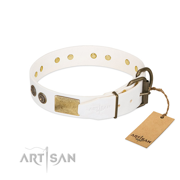 Strong traditional buckle on leather collar for fancy walking your canine