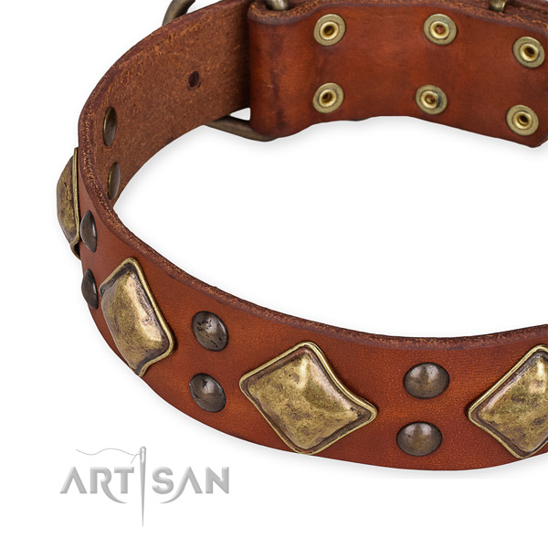 Natural leather collar with rust-proof buckle for your beautiful pet
