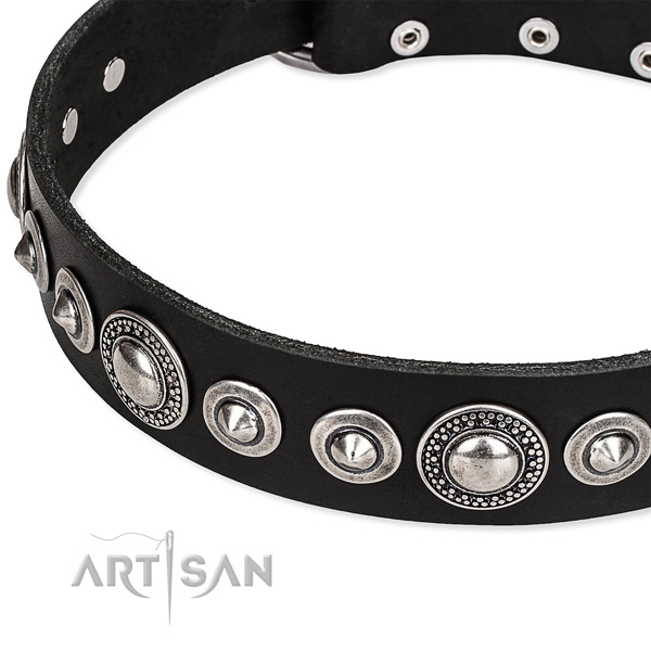 Fancy walking studded dog collar of best quality full grain leather
