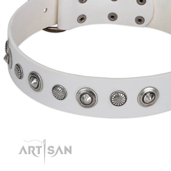 Full grain leather collar with rust-proof traditional buckle for your beautiful canine