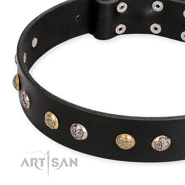 Leather dog collar with impressive rust-proof adornments