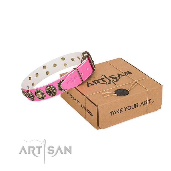 Reliable hardware on dog collar for daily walking