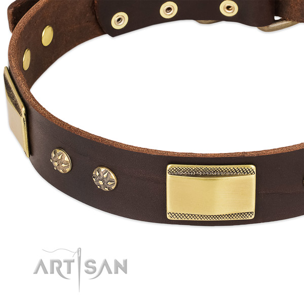 Corrosion resistant traditional buckle on genuine leather dog collar for your doggie