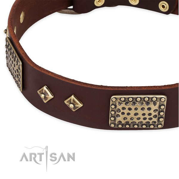 Strong studs on full grain natural leather dog collar for your canine