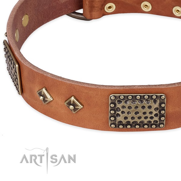 Corrosion proof buckle on full grain natural leather dog collar for your dog