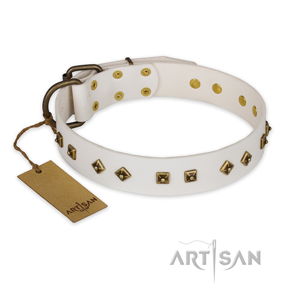 Stylish leather dog collar with rust resistant hardware