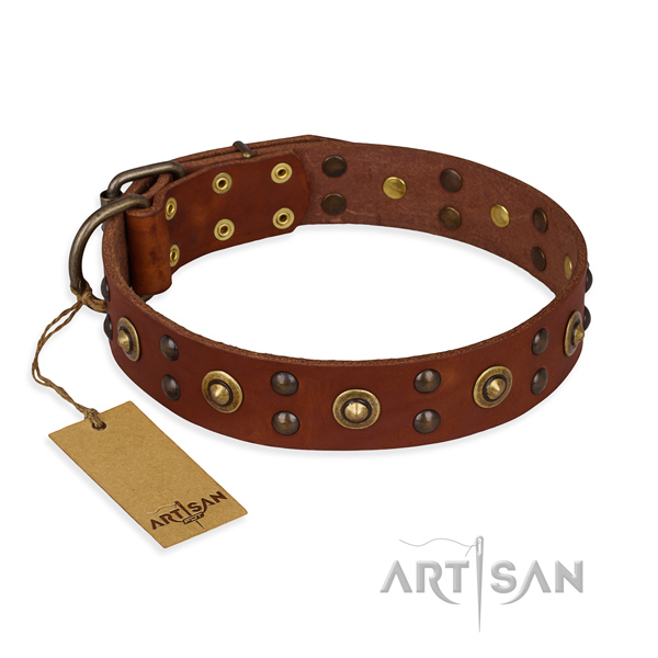 Embellished full grain leather dog collar with corrosion proof hardware