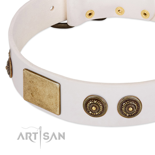 Significant dog collar handcrafted for your handsome canine