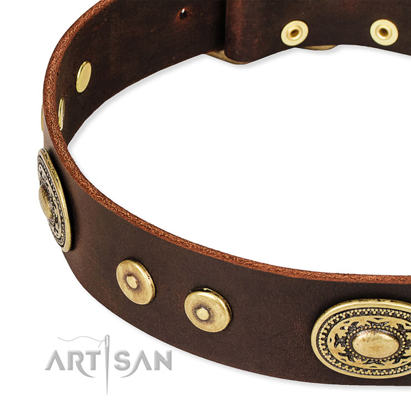 Adorned dog collar made of gentle to touch leather