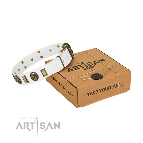 Durable fittings on natural genuine leather dog collar for basic training