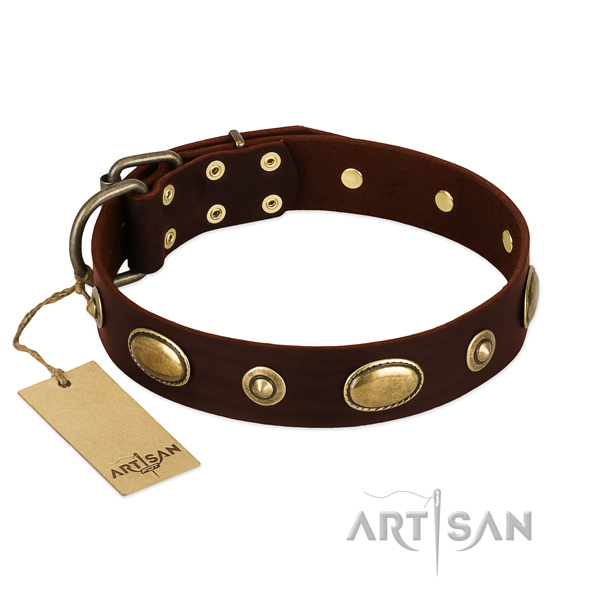 Stunning genuine leather collar for your dog