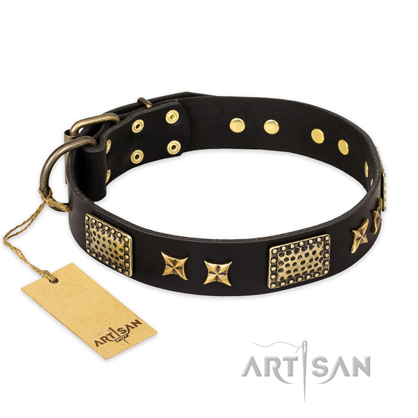 Incredible full grain genuine leather dog collar with strong buckle