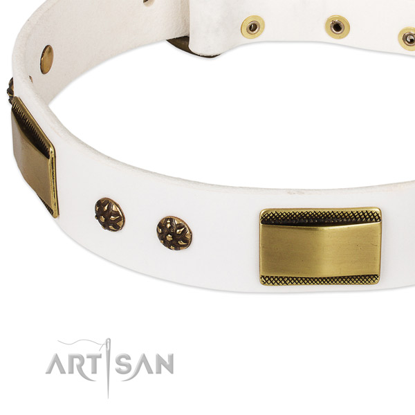 Reliable fittings on natural genuine leather dog collar for your pet