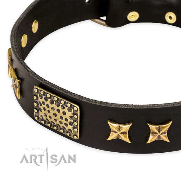 Full grain genuine leather collar with reliable D-ring for your attractive dog
