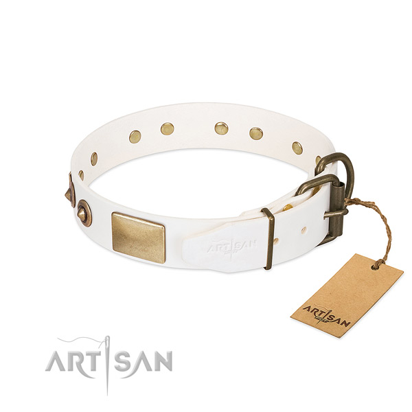 Reliable embellishments on genuine leather dog collar for your doggie