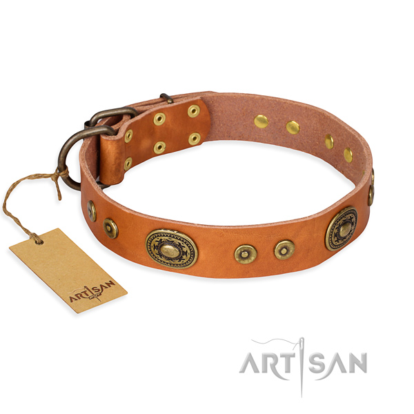 Full grain natural leather dog collar made of flexible material with corrosion resistant traditional buckle