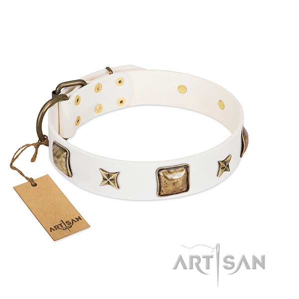 Unique leather dog collar for fancy walking
