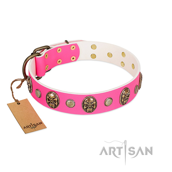Rust-proof adornments on leather dog collar for your doggie