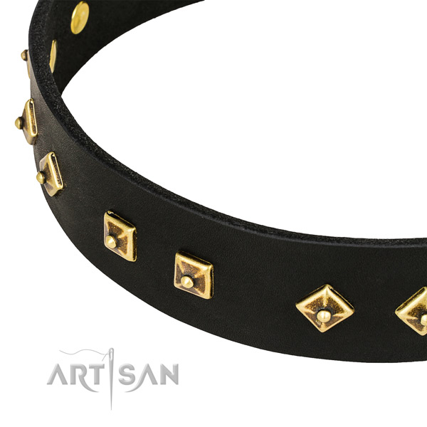 Impressive genuine leather collar for your impressive dog