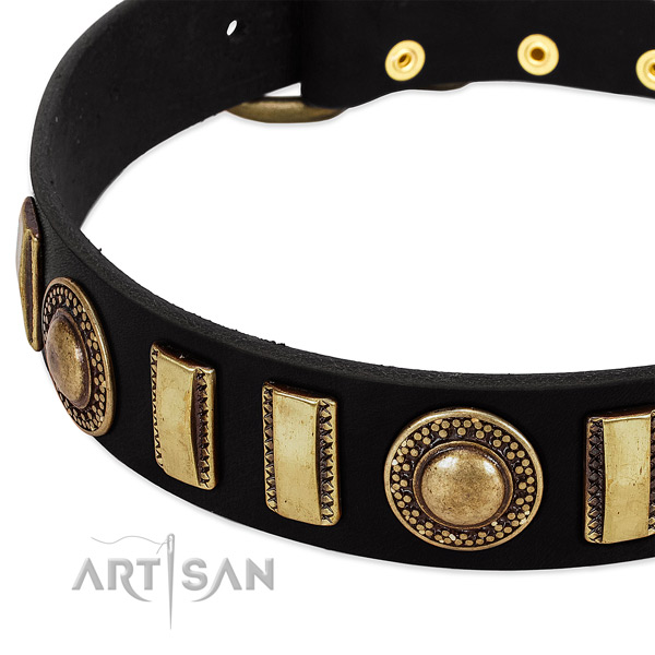 Quality natural leather dog collar with strong fittings