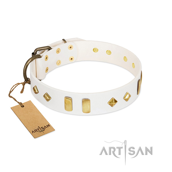 Daily use soft to touch leather dog collar with decorations