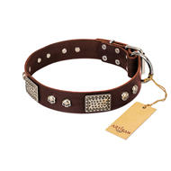 "Pirate Skull" FDT Artisan Brown Leather English Bulldog Collar with Old Silver Look Plates and Skulls