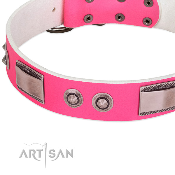 Fine quality genuine leather collar with studs for your four-legged friend