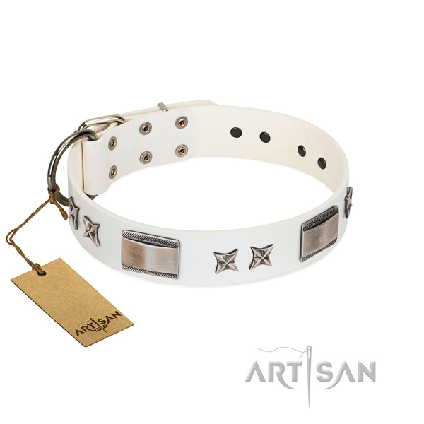 Top quality dog collar of natural leather