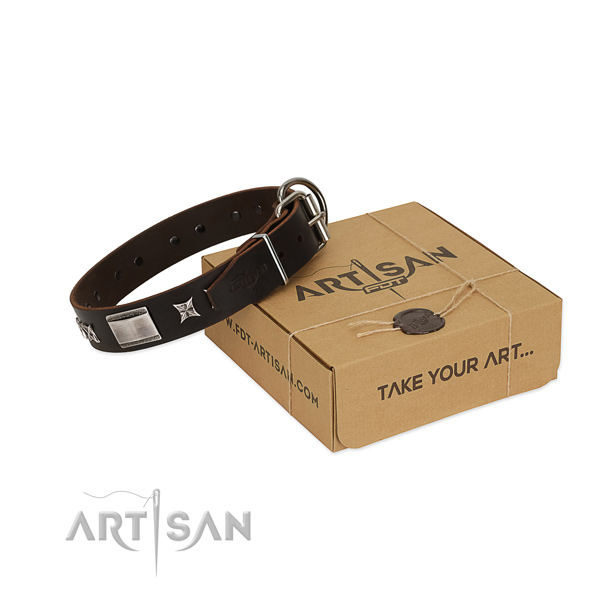 Significant collar of genuine leather for your impressive canine