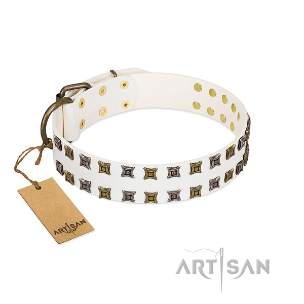 Gentle to touch full grain genuine leather dog collar with adornments for your four-legged friend