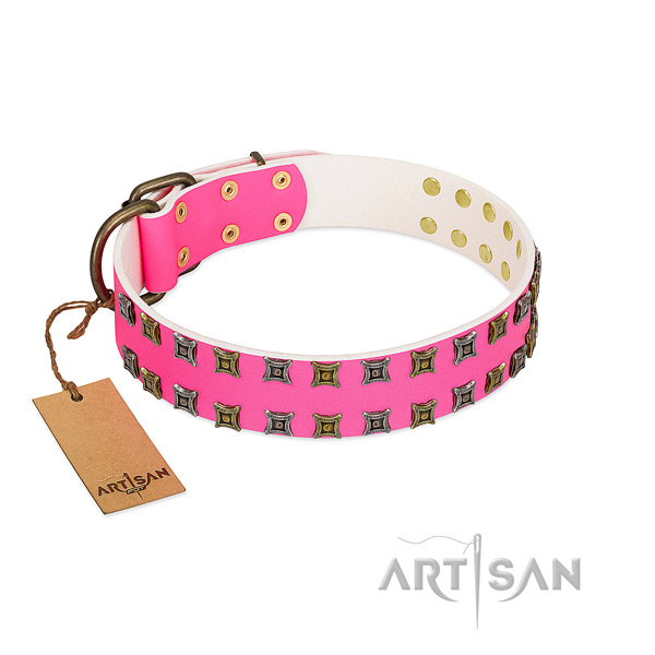 Full grain natural leather collar with extraordinary embellishments for your dog