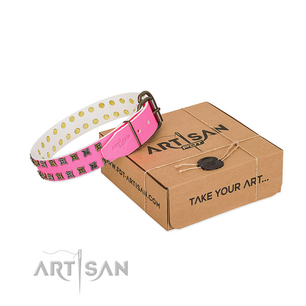 Leather collar with trendy embellishments for your canine