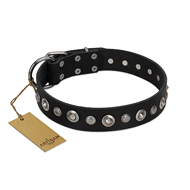 "Genteel Charm" FDT Artisan Black Leather English Bulldog Collar with Silver-like Round Conchos "Genteel Charm" FDT Artisan Black Leather English Bulldog Collar with Silver-like Round Conchos