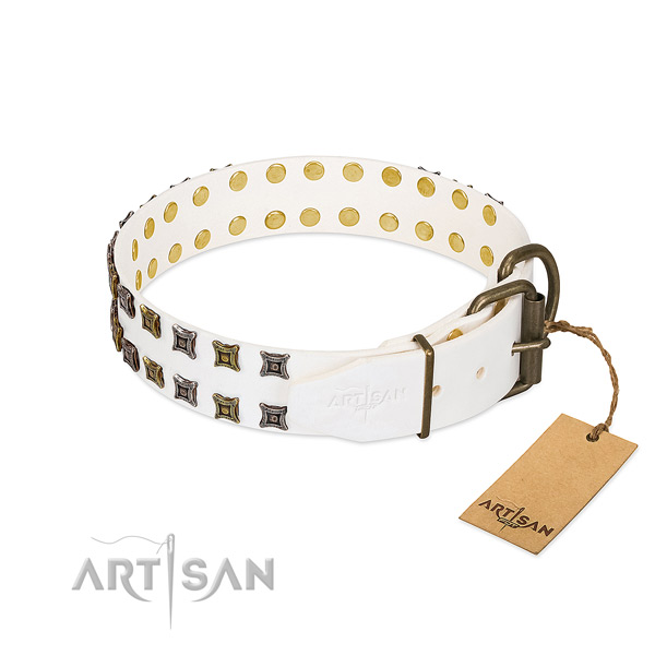 Full grain leather collar with inimitable embellishments for your pet