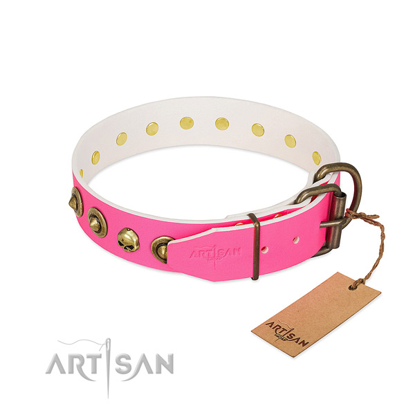 Leather collar with exceptional adornments for your canine
