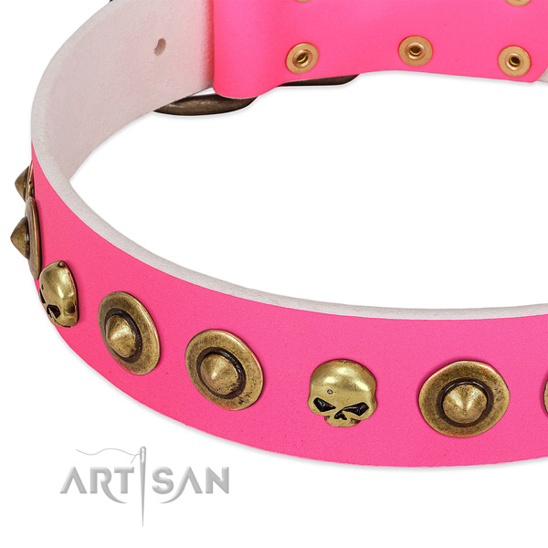 Stunning adornments on genuine leather collar for your dog