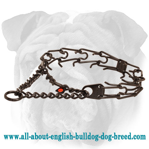 Pinch collar of corrosion-proof black stainless steel for poorly behaved pets